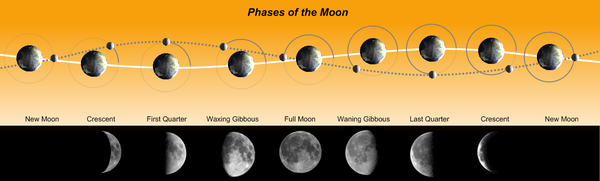 Phases of the Moon.png