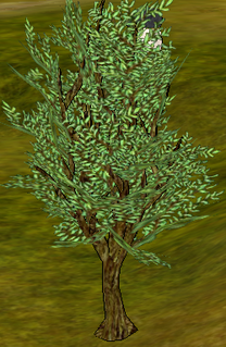 Ash Tree.png