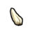 Clove of Garlic.png