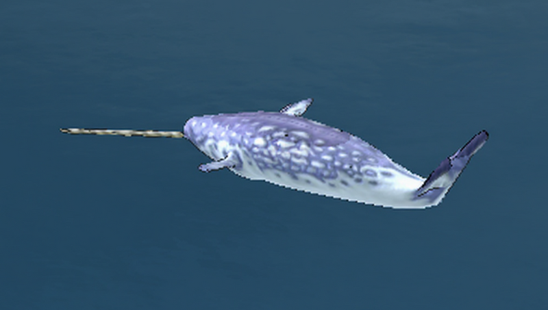 File:Narwhal.png