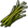 Standing Grass.png