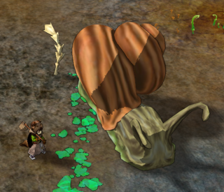 Chasm Conch.png